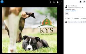 KYS Food for Dogs image